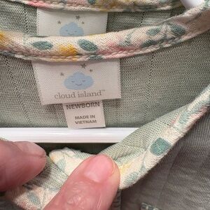 Cloud Island Newborn Floral Outfit in Green and Cream